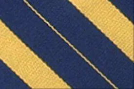 Bar-Stripe Crossover Tv Ties With Pearl Snap Uniform