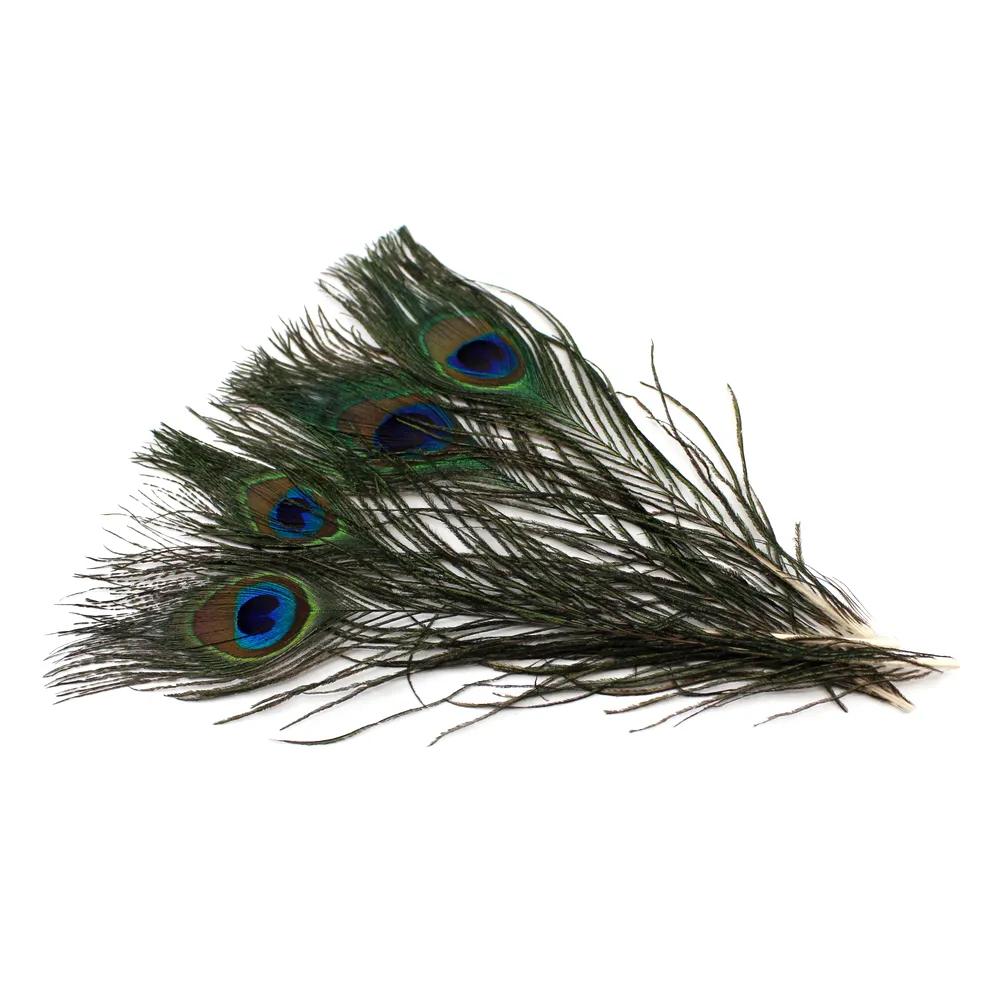 Peacock Eyed Sticks