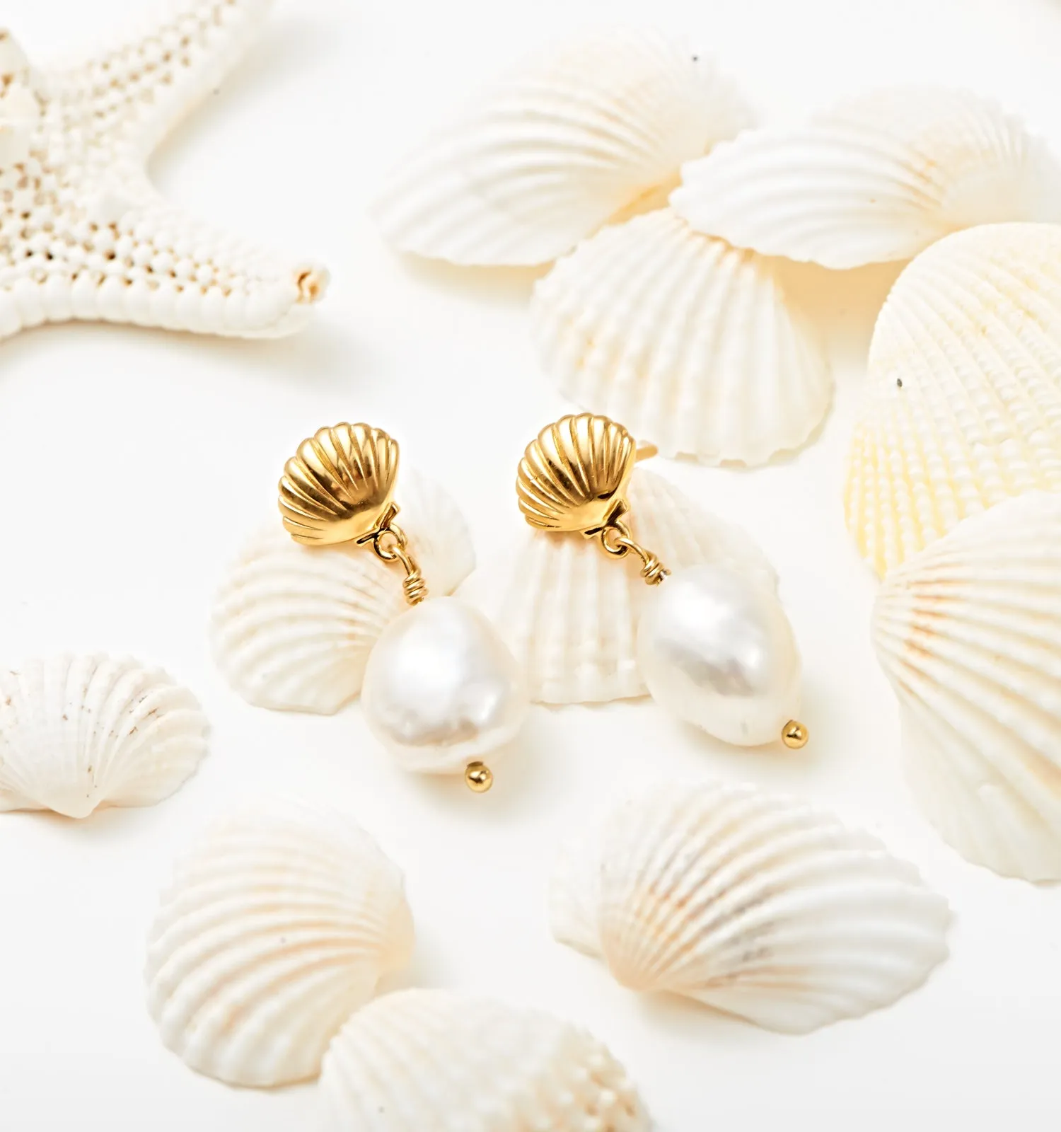 Scallop Shell Earrings