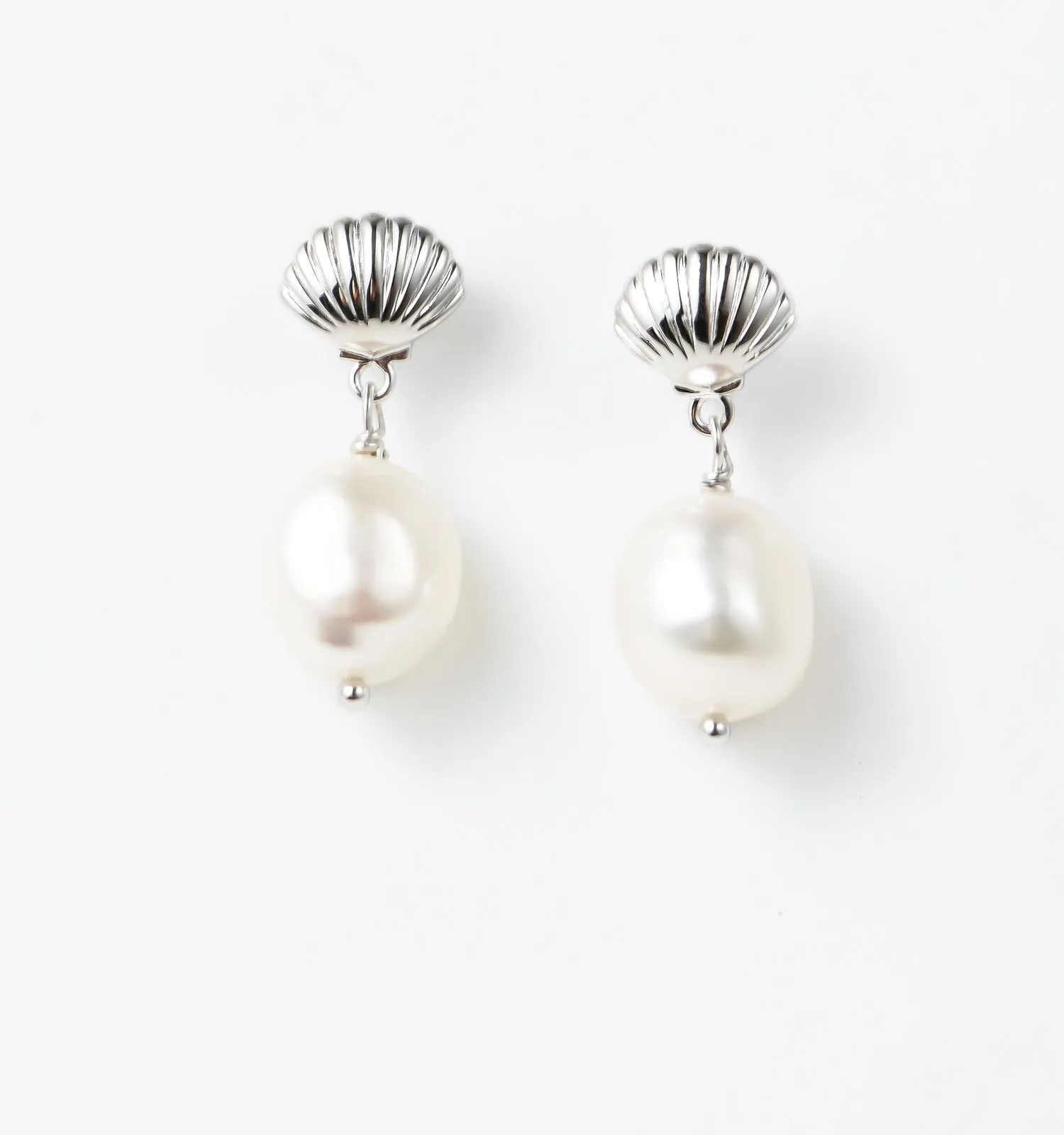 Scallop Shell Earrings